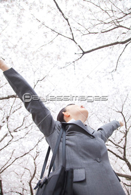 ���β��Ǽ�򹭤���򤹤�ӥ��ͥ������ޥ�