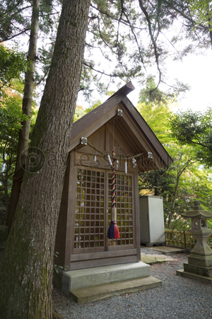 滝本神社の祠 商用利用可能な写真素材 イラスト素材ならストックフォトの定額制ペイレスイメージズ