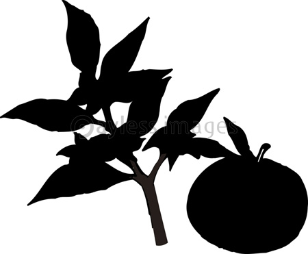 ロイヤリティフリーみかん イラスト 白黒 ディズニー帝国