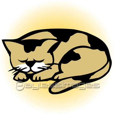 眠り猫の写真 イラスト素材 写真素材 ストックフォトの定額制ペイレスイメージズ