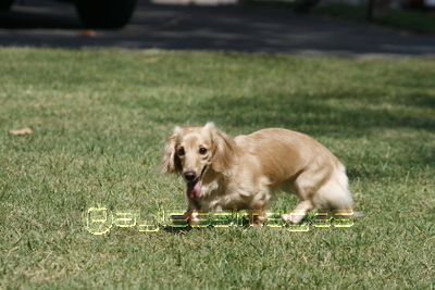 �ߥ˥��奢���å����ե��