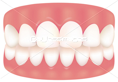 健康な歯と歯茎 商用利用可能な写真素材 イラスト素材ならストックフォトの定額制ペイレスイメージズ