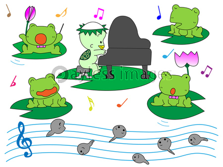 蛙の合唱 ストックフォトの定額制ペイレスイメージズ