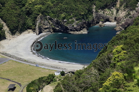 ����̶����