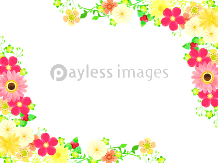 春の花のイラスト背景 ストックフォトの定額制ペイレスイメージズ