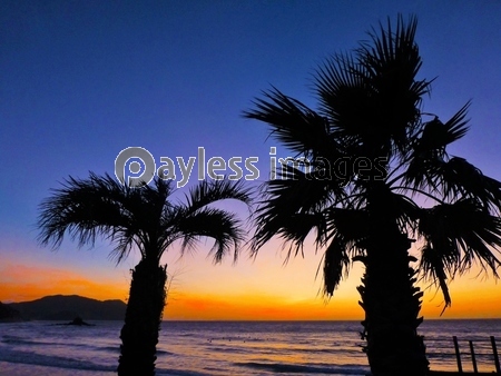 ͼ�Ƥ����󸫥����ʻ���ԡ�