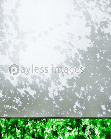 �������֥饤���