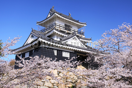 �դ��;���