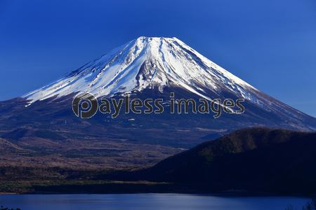 �������ٻλ�