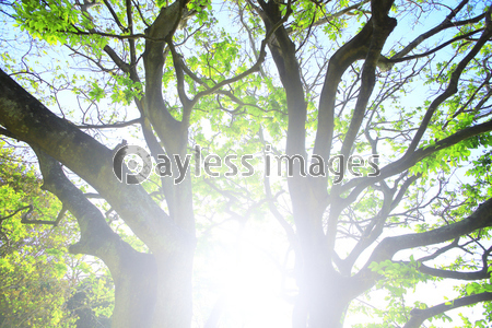 �ո����᡼��