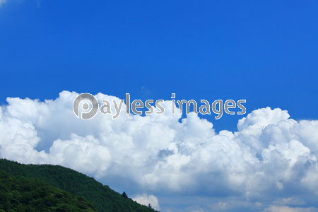 �ٻλ����鸫����ƻ��