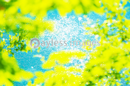 �������̥��᡼��