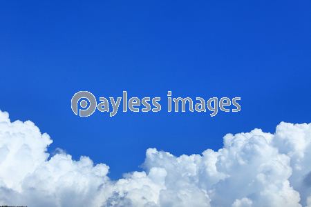 ��������ƻ��