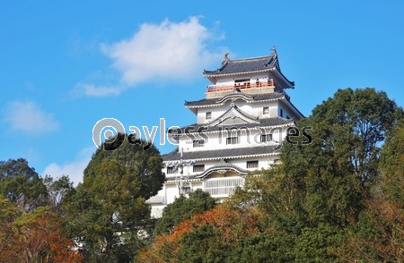 ���ž�ʺ��츩��