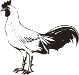 �˥�ȥ�