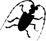 ���ߥ���ॷ�Υ��륨�å�