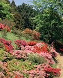 ����º�ĤĤ�����