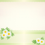 daisy background