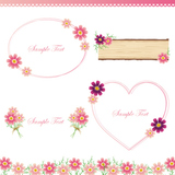 cosmos frame set