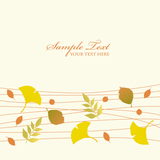 autumn leaves background