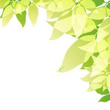 green background