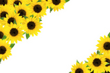 �ҥޥ��