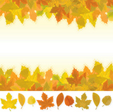 Autumn Leaves Set