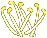 䤷