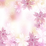 background illustration of cherry blossoms