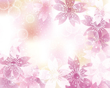 background illustration of cherry blossoms