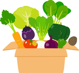 �ʥܡ���Ȣ�������ӽФ����