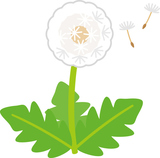 ����Ǥ�������ݥݤ�����