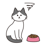 ����åȥա��ɤ�����������ɽ��򤷤��ϥ����ǭ