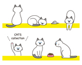 �ݥ����ǭ�Υ��åȤ������ȥ���åȥա����դ�